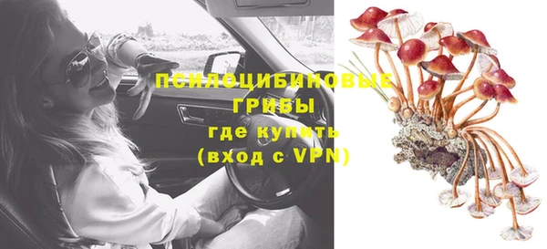 дмт Абаза