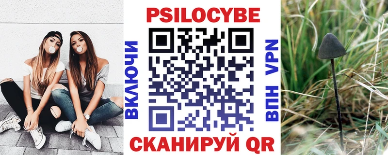 цена   Адыгейск  Галлюциногенные грибы MAGIC MUSHROOMS 